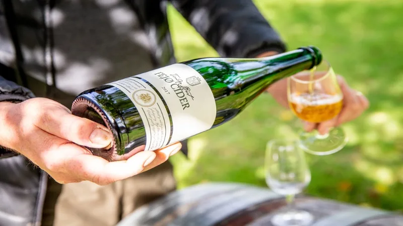 Fra Fejø Cider