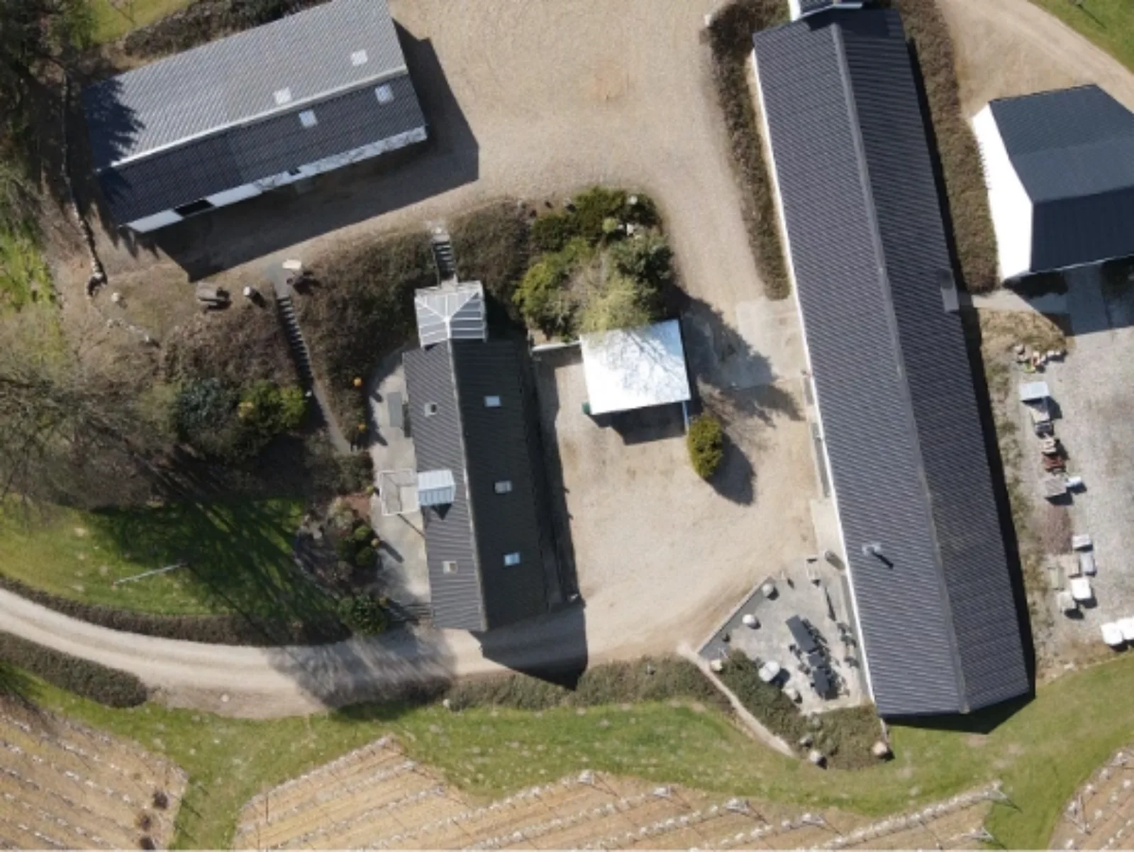 Billede fra LINDELY VINGÅRD ApS