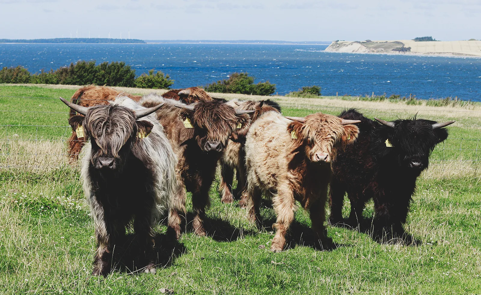 Billede fra Outdoor Meat - Grønbjerg Gårdsalg
