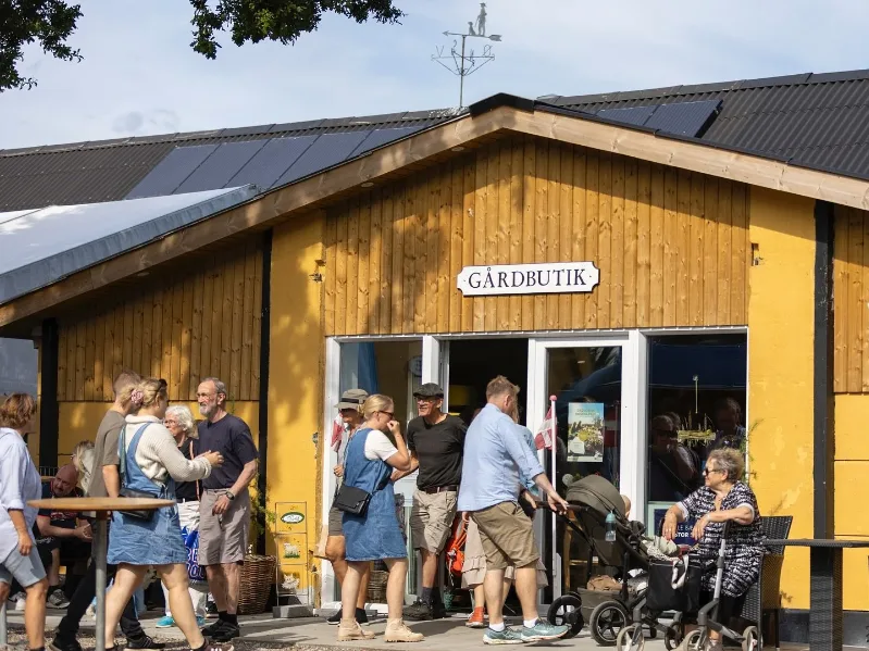 Fra Varde Aadal Lam Gårdbutik